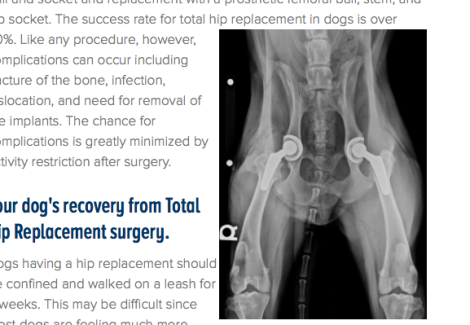 Foto origin:http://www.westvet.net/specialties/surgery/veterinary-orthopedic-surgery/total-hip-replacement 